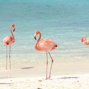 CVS PHARMACY - Updated December 2025 - 28 Photos & 55 Reviews - 305 ...