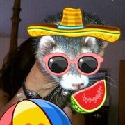 google avatar