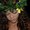 Photo of Raquel J.