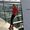 Photo of Veronika S.