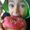 Photo of Haydee B.
