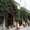 Photo of Deena B.