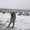 Photo of Ayelet M.