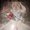 Photo of Elsy H.
