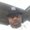 Photo of Jermaine M.