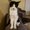 Photo of Kodie B.
