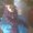 Photo of karla d.