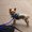 Photo of Janelyn O.