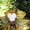 Photo of Kevin G.