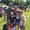 Photo of Jeff H.