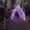 Photo of Jazzle J.