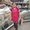 Photo of Rashvinder S.