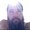 Photo of Joe M.