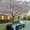Photo of Harshith S.