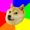 Photo of Doge C.