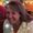 Photo of Heather N.
