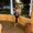 Photo of Fatimah S.