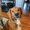 Photo of Ginger T.
