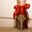 Photo of DiAnn M.