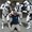 Photo of Qype User (roskol…)