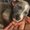 Photo of Layla G.