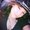 Photo of Christina G.