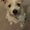 Photo of Positron X.