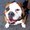 Photo of Bella D.