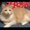 Photo of Mandy K.