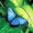 Photo of Butterfly M.