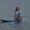 Photo of Janene S.