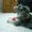 Photo of Cece H.