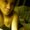 Photo of Hannalei R.