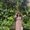 Photo of Shradha P.