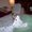 Photo of Ruth Ann S.