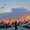 Photo of Suzy B.