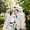 Photo of Jennifer S.