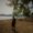 Photo of Amit K.