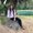 Photo of Lovedeep P.