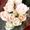 Photo of Irene L.