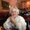 Photo of Elizabeth M.