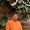 Photo of Madhan Kumar R.