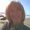 Photo of Laurie L.