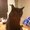 Photo of Cindy M.