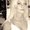 Photo of flavia m.