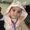 Photo of Merna H.