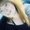 Photo of Samm P.