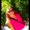 Photo of Sevgi T.