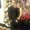 Photo of Gery G.
