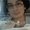 Photo of Cindy D.